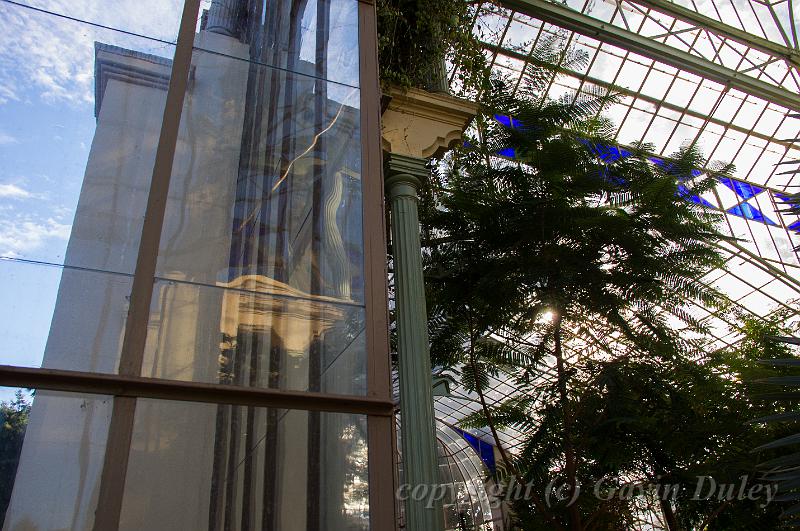 Glasshouse, Adelaide Botanic Gardens IMGP8836.jpg